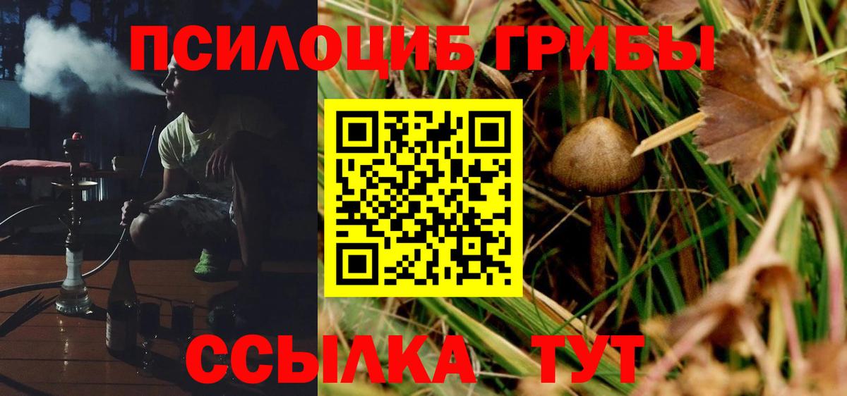 Псилоцибиновые грибы мухоморы Обь