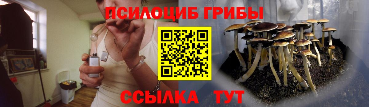 Обь  Псилоцибиновые грибы Cubensis  Вход с VPN 