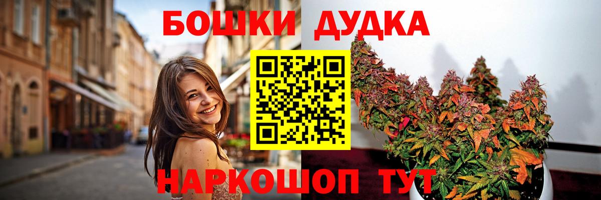 Бошки Шишки семена Обь